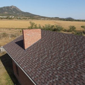 docke pie dragon premium слива