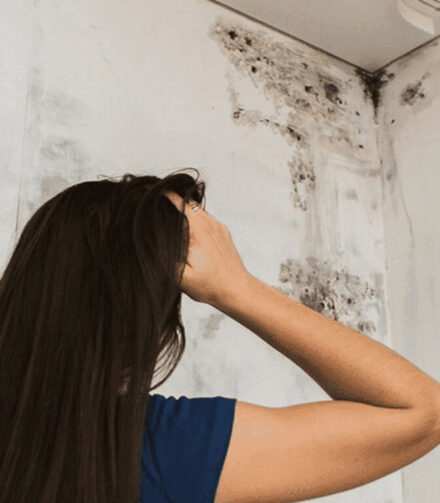 Почему нельзя делать утепление дома изнутри?